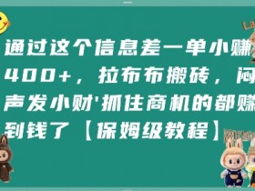 通过这个信息差一单小挣4张+，拉布布搬砖，闷声发小财抓住商机的都挣到钱了【保姆级教程】