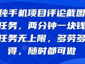 纯手机项目评论截图任务，两分钟一块钱 任务无上限多劳多得，随时随地都能做【揭秘】