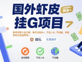 国外虾皮挂G项目：账号扔那儿自己刷，每天白捡米+，不拉人头、不动脑，单机日收益两张+【揭秘】