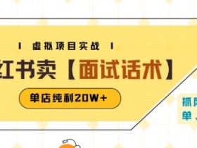 小红书虚拟项目掘金，卖面试话术资料，单店纯利20W+(附爆款笔记制作方法)