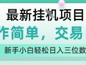 最新挂G项目，操作简单，交易自由，人人可上手，新手小白轻松日入三位数【揭秘】