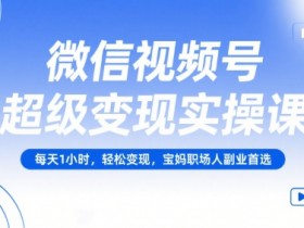 微信视频号超级变现实操课，每天1小时，轻松变现，宝妈职场人副业首选