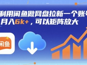利用闲鱼做网盘拉新一个账号，月入6k+，可以矩阵放大
