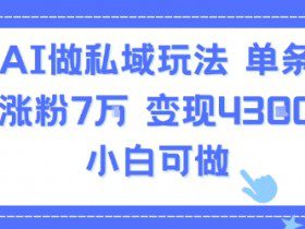 用AI做私域玩法，单条视频涨粉7W变现4.3k，小白可做
