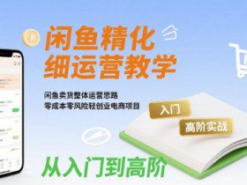 闲鱼精细化运营入门+高阶实战教学，闲鱼卖货整体运营思路，零成本零风险轻创业电商项目