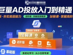 巨量AD投放入门到精通，基础版+进阶版+加餐课