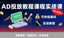 李亚老师·AD投放教程课程实战课，实现广告ROI300%+可持续暴利