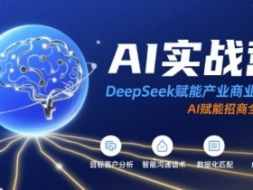 AI实战营：DeepSeek赋能产业商业招商，AI赋能招商全流程