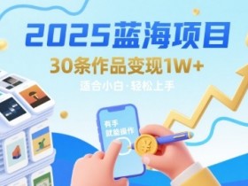2025蓝海项目30条作品 变现1w+ 有手就能操作适合小白做