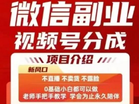 微信副业视频号分成，不直播 不卖货 不露脸，三五分钟即可完成一条作，每日收益几十、几张不等