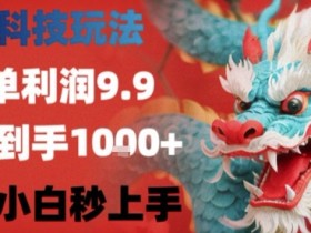 黑科技一单利润9.9米，一天轻松四位数项目，不挑人，小白也可轻松上手【揭秘】