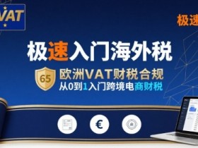 极速入门海外税，欧洲VAT财税合规，从0到1入门跨境电商财税