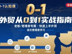 外贸如何快速0-1认知课-适合内贸转外贸的老板，管理者学习