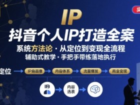 抖音个人IP系统落地实操大课，实操课程，辅助落地