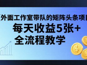 外面工作室带队的矩阵头条挂G项目，每天收益5张+，全流程教学【附全套工具】