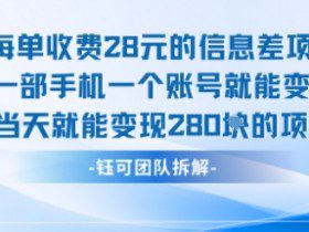 每单收费28米的项目单日能变现280左右 一部手机一个账号就能变现