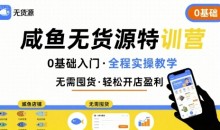 卫阳-无货源特训营 0基础带你玩转咸鱼无货源