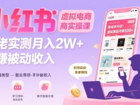 小红书虚拟电商，大佬实测月入2W+，实现被动收入