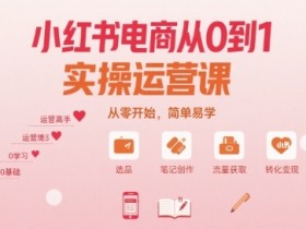 小红书电商从0到1实操运营课，从零开始，简单易学