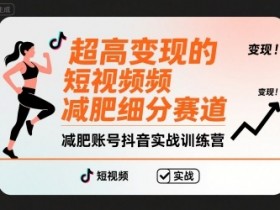超高变现的短视频减肥细分赛道，减肥账号抖音实战训练营