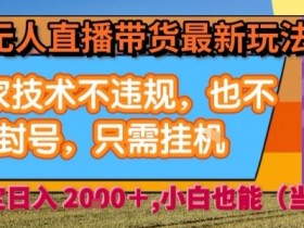 淘宝无人直播带货最新玩法，独家技术不违规，也不封号，全自动运行，只需挂着，  稳定日入2k【揭秘】