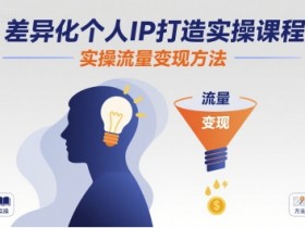 差异化个人IP打造实操课程，实操流量变现方法