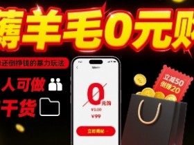 薅羊毛0元购，免单还倒挣钱的暴力玩法，人人可做，纯干货
