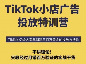 TikTok小店广告投放特训营，6天破局计划专治各种“投不动”，教你经过月销百万验证的实战干货