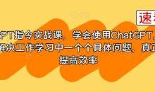 GPT指令实战课，学会使用ChatGPT，解决工作学习中一个个具体问题，真正提高效率