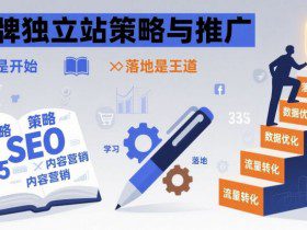 品牌独立站策略与推广，学习是开始，落地是王道