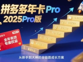 拼多多年卡2025Pro版，五大板块从认知到基础、从推广到活动、从活动到玩法