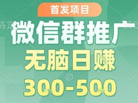 首发项目，微信群推广，一天15单，每单利润10米，无脑日入3-5张【揭秘】