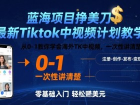 蓝海项目挣美刀，最新Tiktok中视频计划教学，从0-1教你学会海外TK中视频，一次性讲清楚