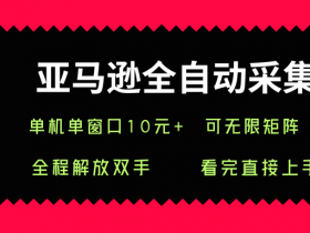 亚马逊全自动采集，单机单窗口一天10+，可无限矩阵去做【揭秘】
