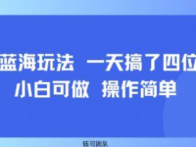小众蓝海玩法 一天搞了四位数 小白可做 操作简单