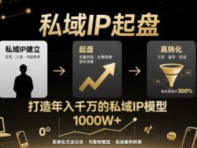 私域IP起盘，私域ip建立、起盘、高转化，打造年入千万的私域ip模型