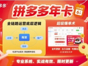 拼多多年卡【8月更新6节】拼多多全链路运营底层逻辑，超级爆单术