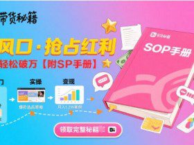 B站哔哩哔哩带货秘籍，新风口，抢占红利，单月轻松破万【附SOP手册】