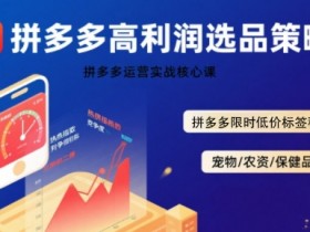拼多多选品暴利技术实战课，拼多多高利润选品策略，拼多多限时低价标签秘诀
