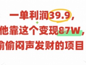 一单利润39.9，有人靠这个变现几十个，偷偷闷声发财的项目