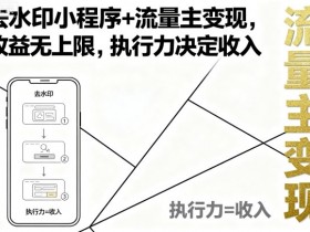 去水印小程序+流量主变现，收益无上限，执行力决定收入