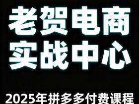 老贺电商2025年拼多多付费课程，用通俗易懂的方法告诉你多多怎么玩
