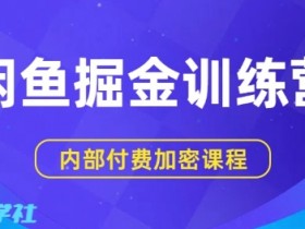 闲鱼掘金训练营，双重暴力变现，日入2张+，小白也能轻松上手