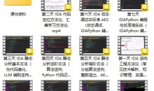 7天打造IDA9.0 大师：从零基础到逆向精英（价值299元）