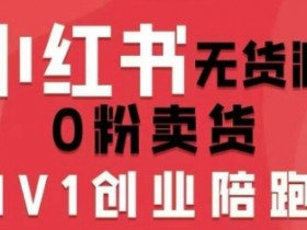 小红书无货源0粉电商课，开店准备、选品策略、笔记撰写、视频剪辑、数据分析、账号打造、资料文档