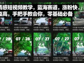 情感短视频教学，蓝海赛道，涨粉快，收益高，手把手教会你，零基础必备