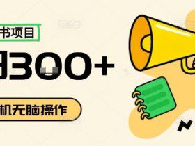 小红书抄书项目，无脑操作，一天3张