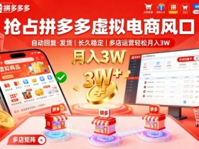抢占拼多多虚拟电商风口：自动回复、发货，长久稳定，多店运营轻松月入3W+【揭秘】
