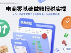 电商零基础做账报税实操快速上手，从0-1学会套账建立，做账准备，企业税务申报