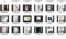 王猛奇版式设计第30期11月结课【画质高清有素材】